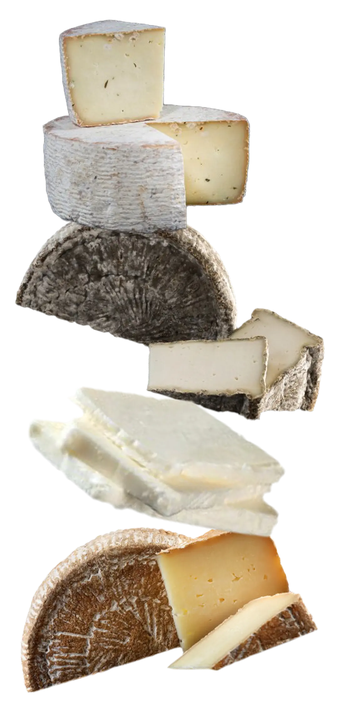 FromagerielesBroussailles_fromages-emplilade fromagerie les Broussailles - fromages bio au lait cru