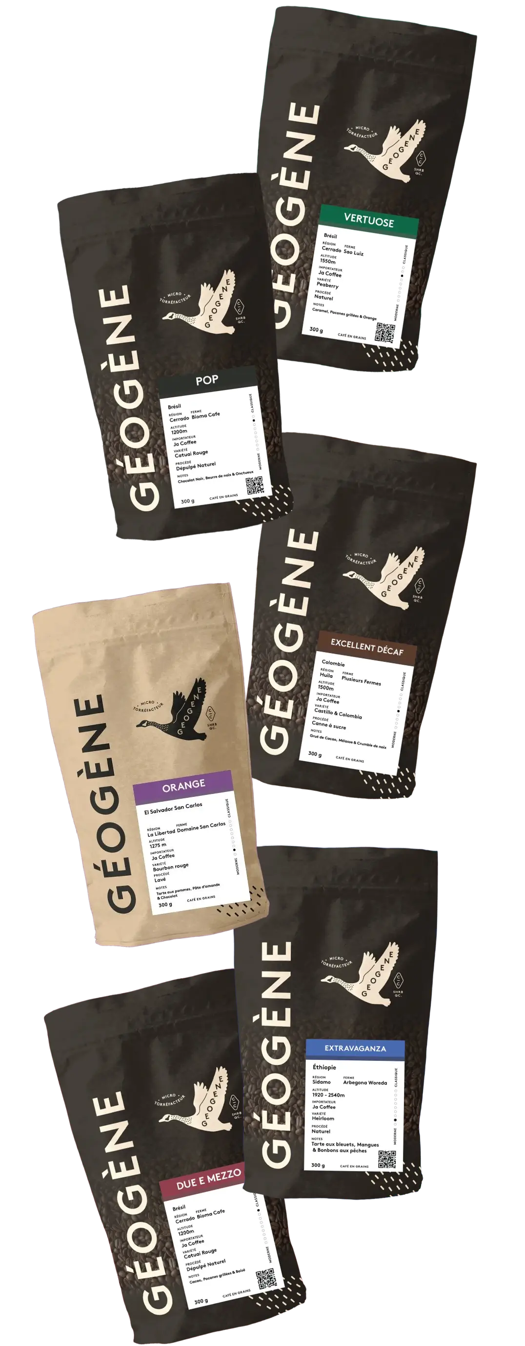 Géogène variété de cafés à la Coop Alentour